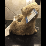 Peek-a-Boo Bear Toy photo review