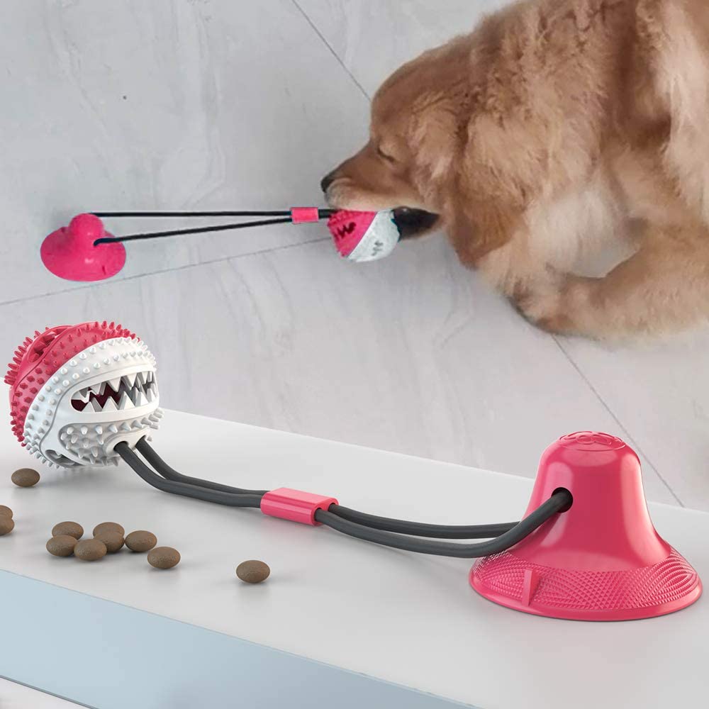 Tug-of-Floor Dog Toy