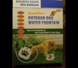 Automatic Outdoor Dog Water Fountain photo review