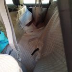 Dog Car Seat Cover photo review
