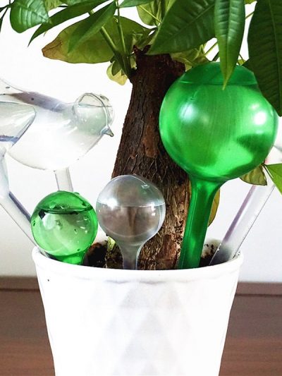 Plant Watering Bulbs