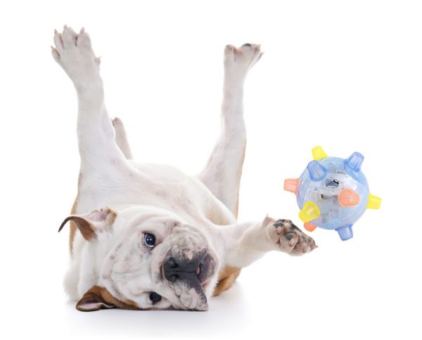 Active Jumping Ball For Dogs
