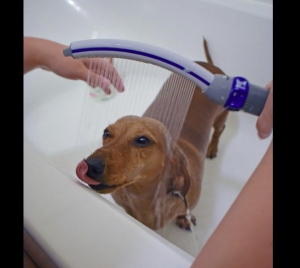 Wand Pro Pet Shower Attachment photo review
